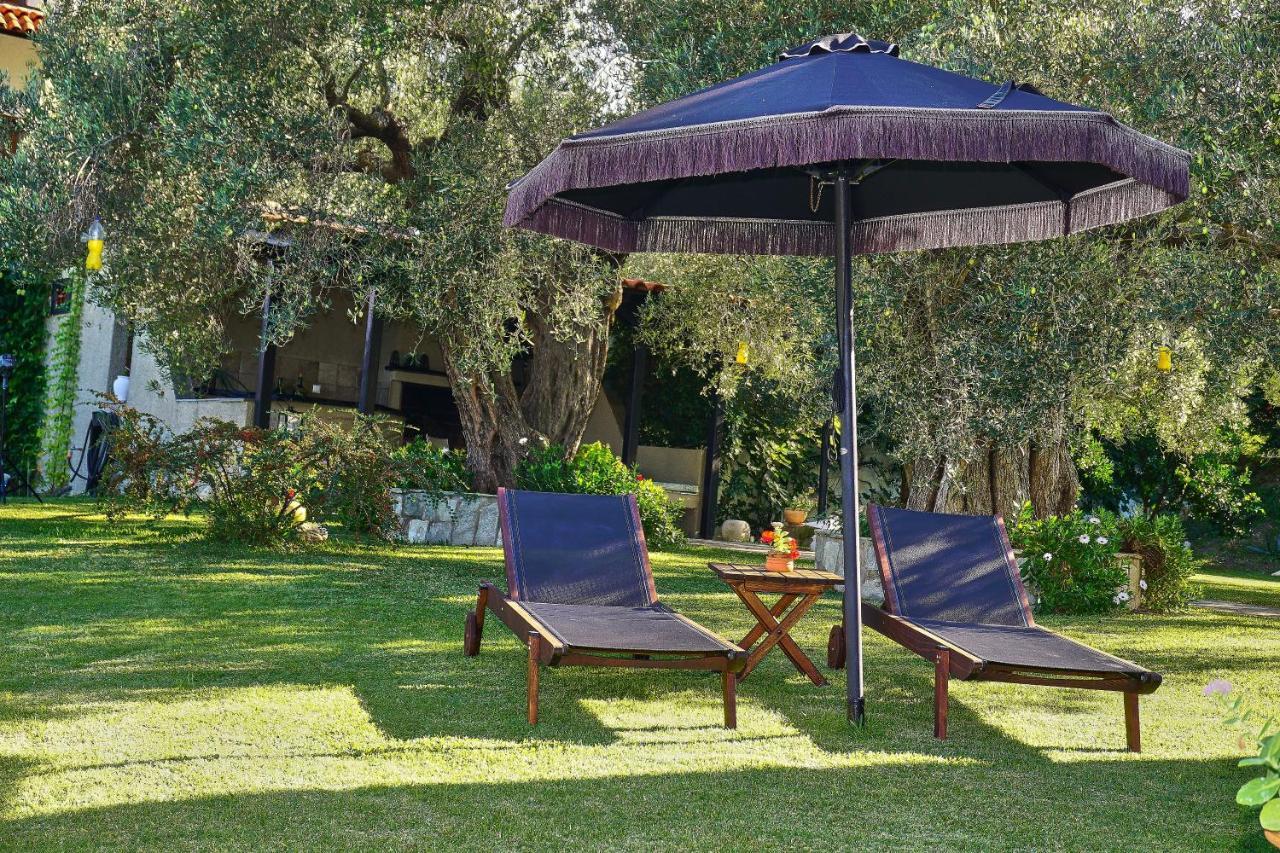 Villa The Cosy Olive Ormos Panagias Dış mekan fotoğraf