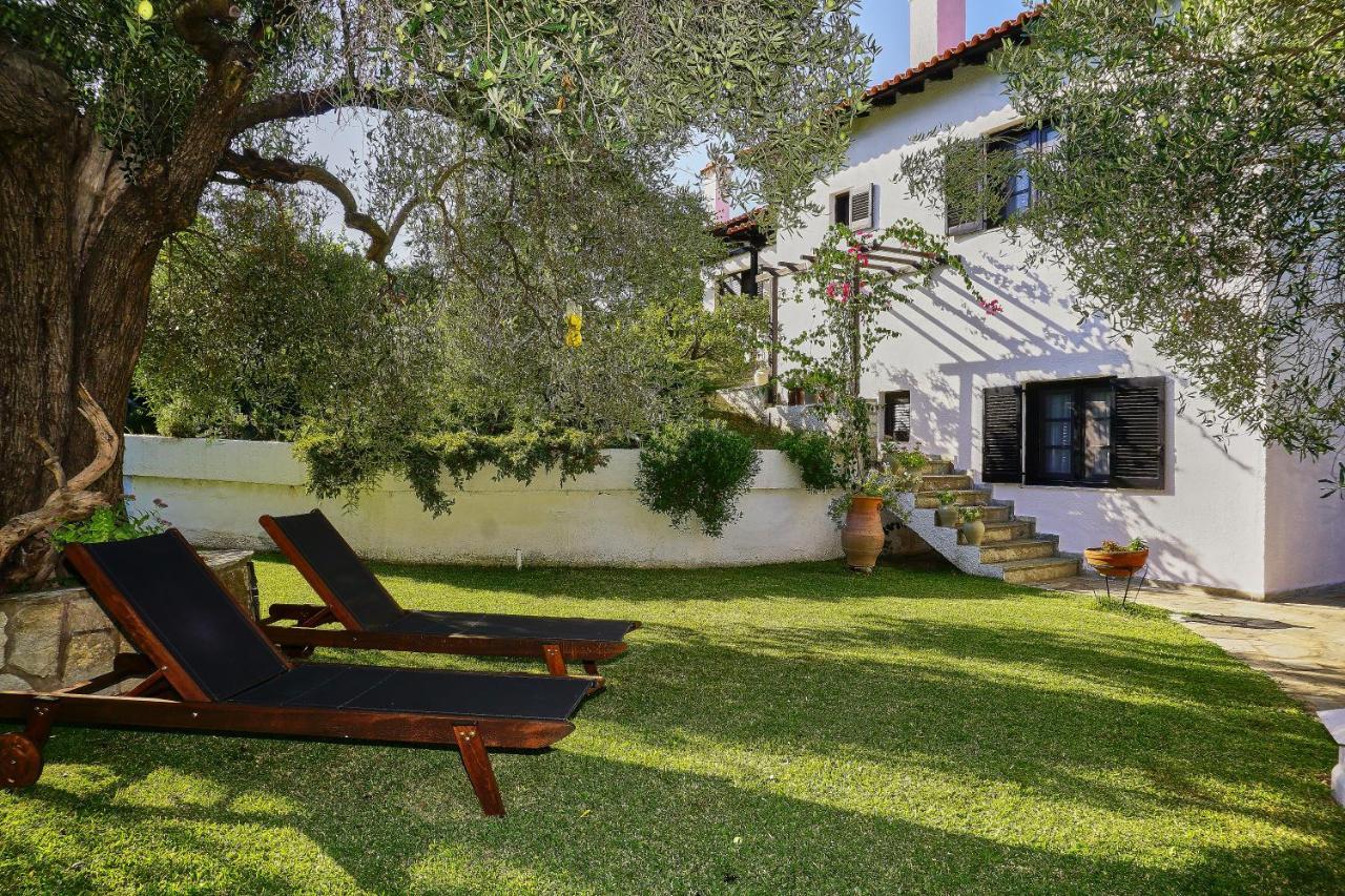 Villa The Cosy Olive Ormos Panagias Dış mekan fotoğraf