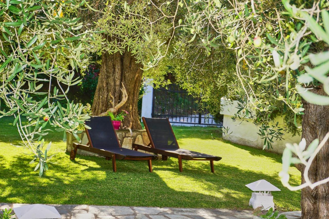 Villa The Cosy Olive Ormos Panagias Dış mekan fotoğraf